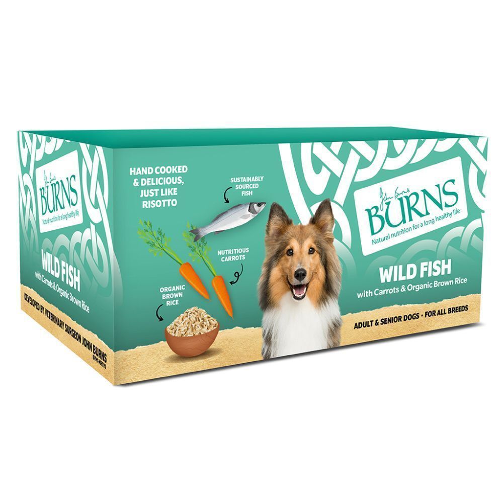 Burns Wet Food Wild Fish with Carrots Brown Rice Dec's Pets